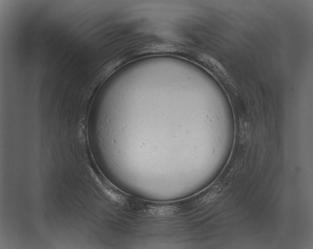 X0000073451225200608181230