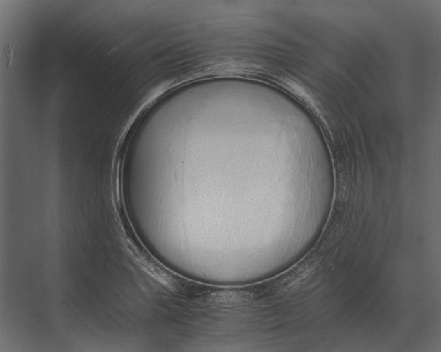 X0000073451227200608181230