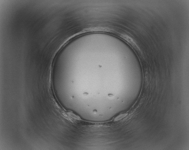 X0000073451228200608181230