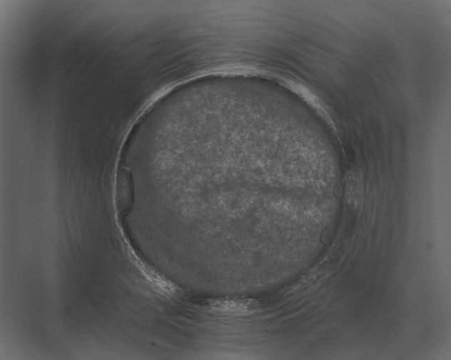 X0000073451229200608181230