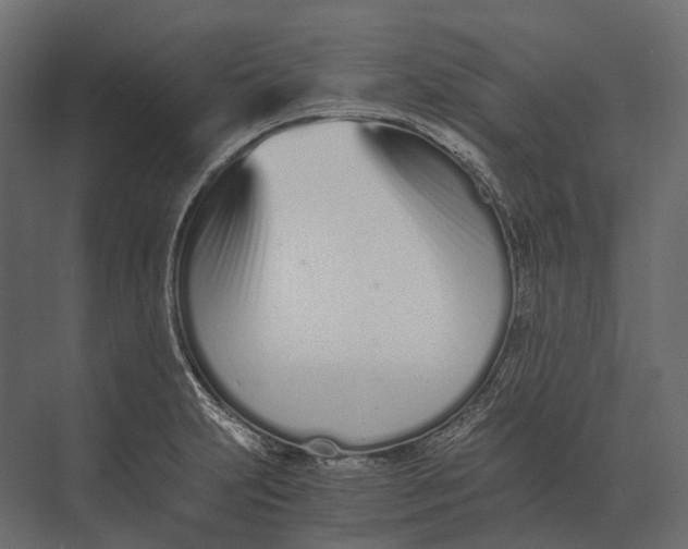 X0000073451231200608181230