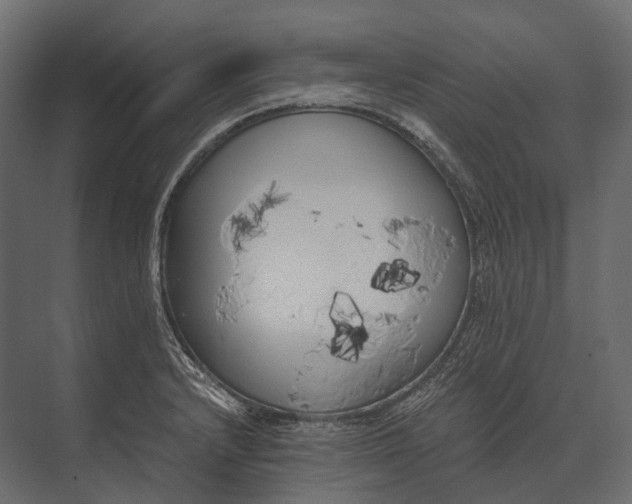 X0000073451232200608181230