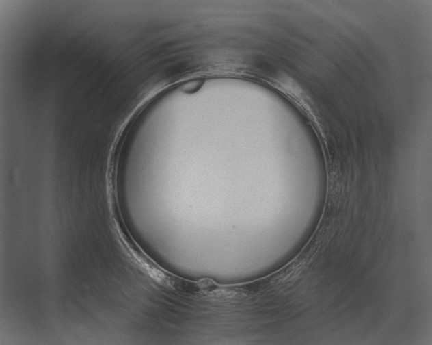 X0000073451235200608181230