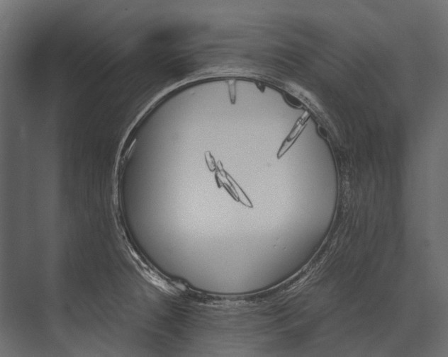 X0000073451236200608181230