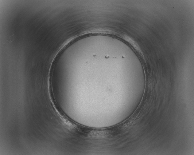 X0000073451237200608181230