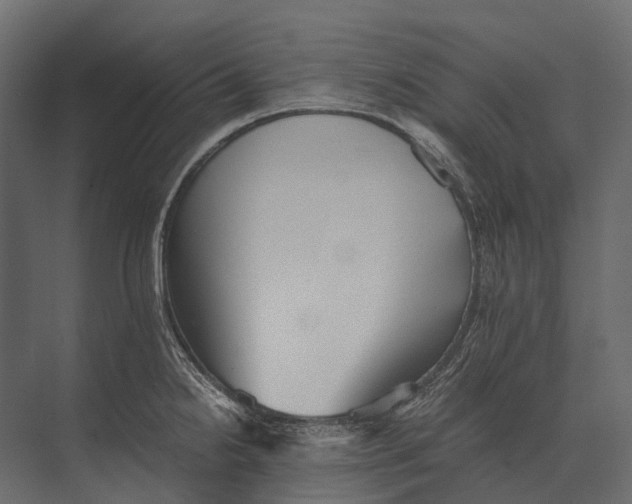 X0000073451238200608181230