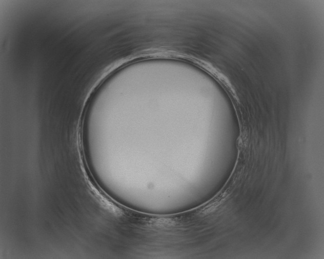 X0000073451239200608181230