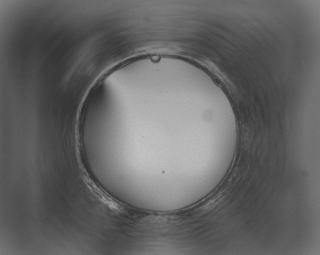 X0000073451240200608181230