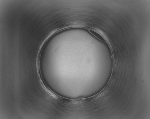 X0000073451243200608181230