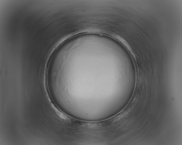 X0000073451245200608181230