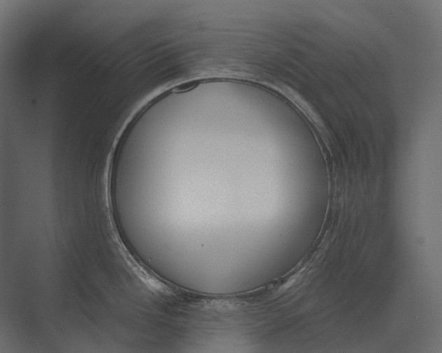 X0000073451246200608181230