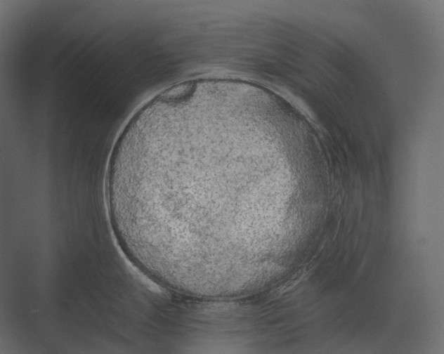 X0000073451247200608181230