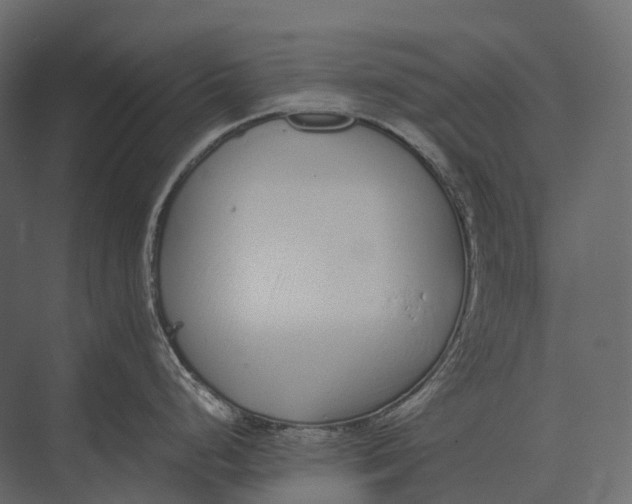 X0000073451248200608181230