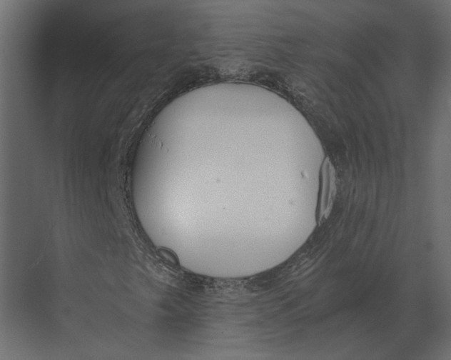 X0000073451249200608181230