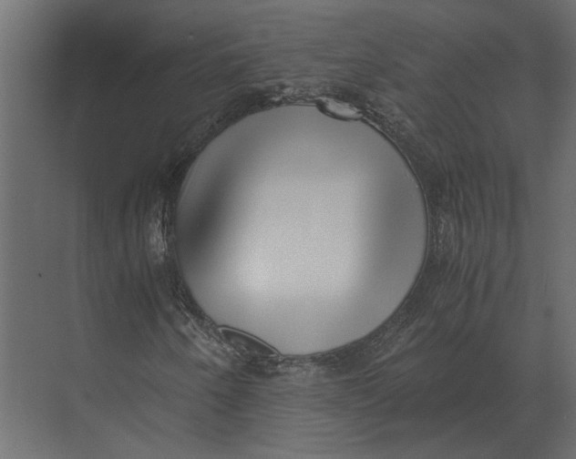 X0000073451250200608181230