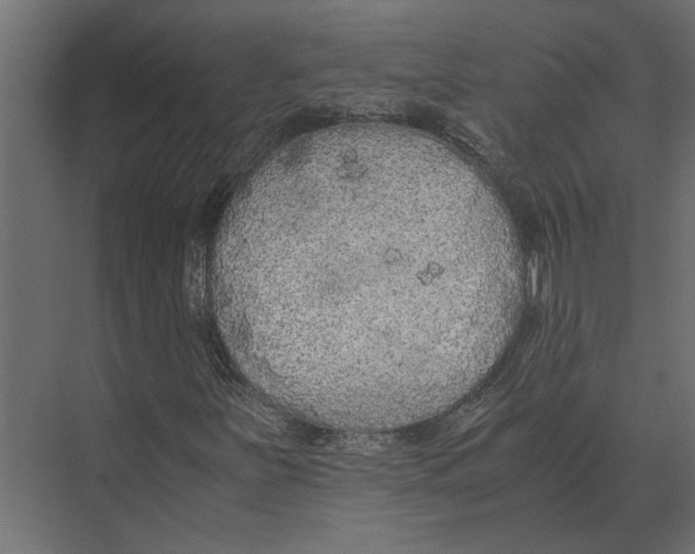 X0000073451251200608181230