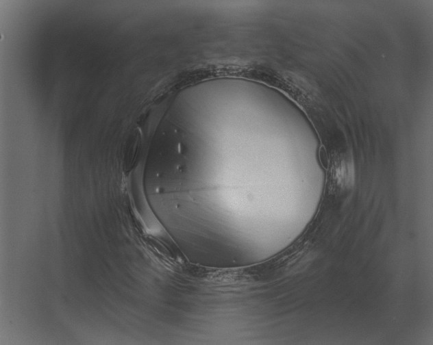 X0000073451252200608181229