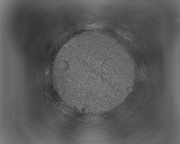 X0000073451254200608181229