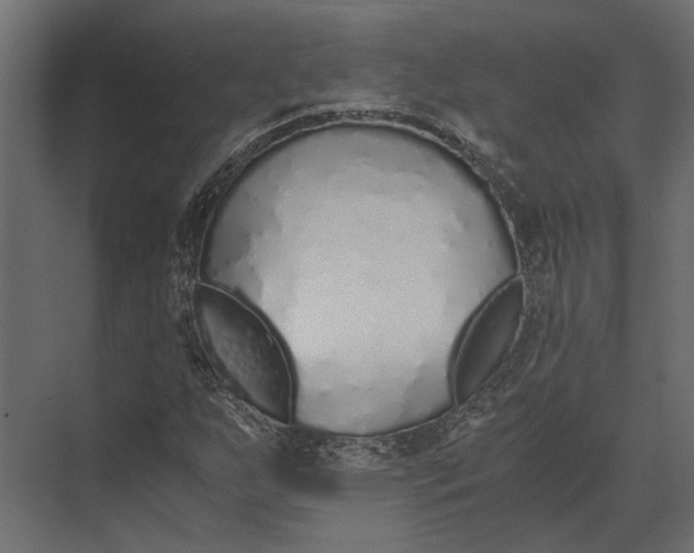 X0000073451255200608181229