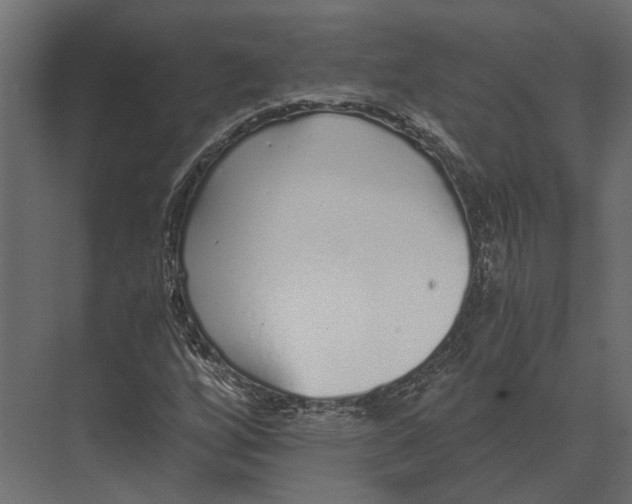 X0000073451256200608181229