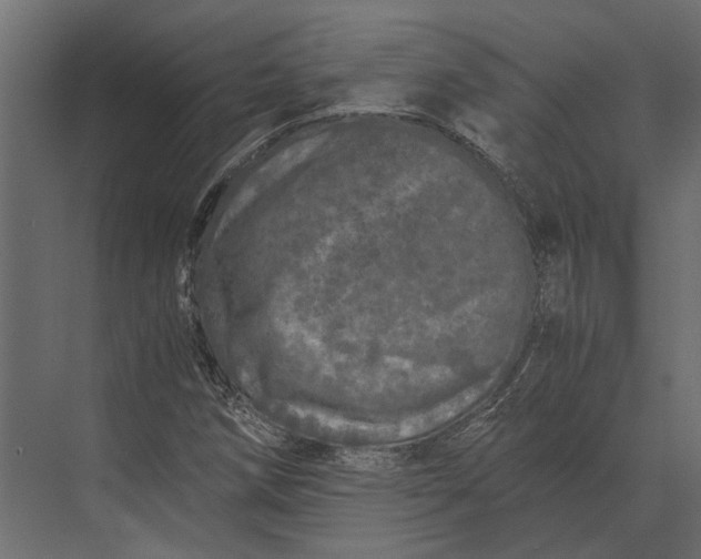 X0000073451258200608181229