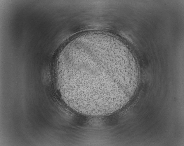 X0000073451259200608181229