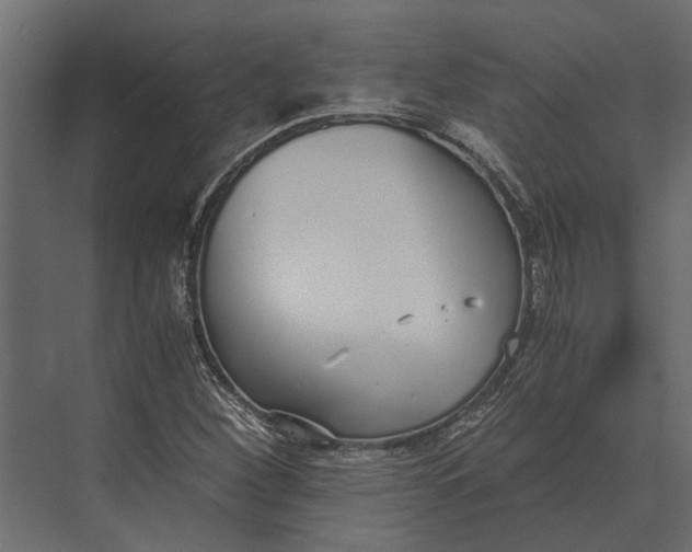 X0000073451260200608181229