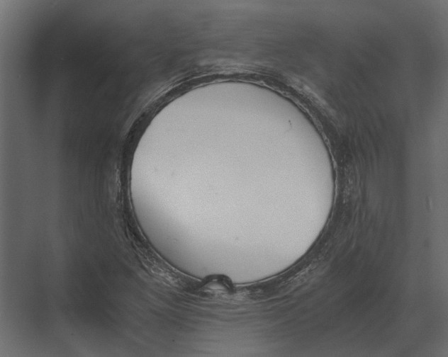 X0000073451261200608181229