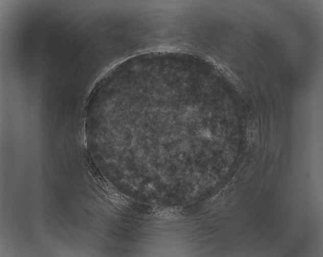 X0000073451262200608181229