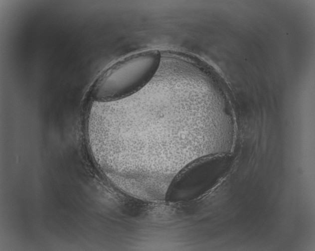 X0000073451263200608181229