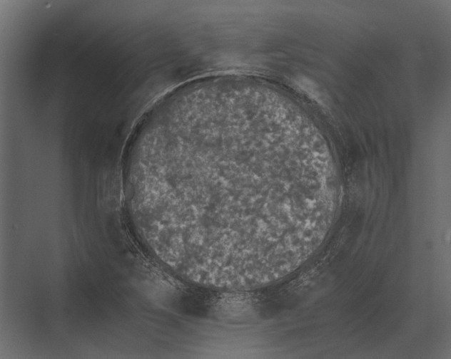 X0000073451267200608181229