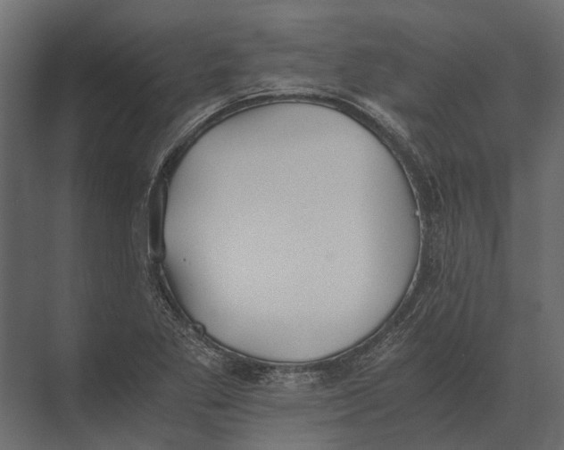 X0000073451269200608181229