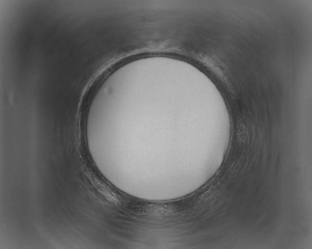 X0000073451270200608181229