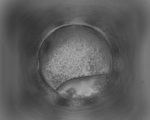 X0000073451271200608181229