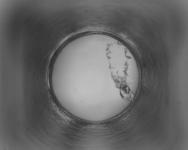 X0000073451272200608181229