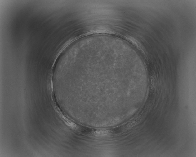 X0000073451274200608181229