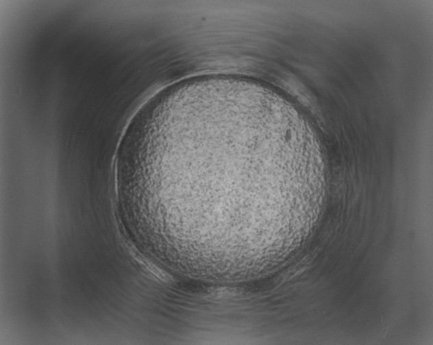 X0000073451275200608181229