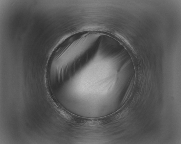 X0000073451277200608181229