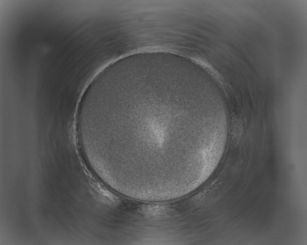 X0000073451278200608181229