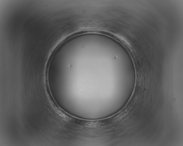 X0000073451279200608181229