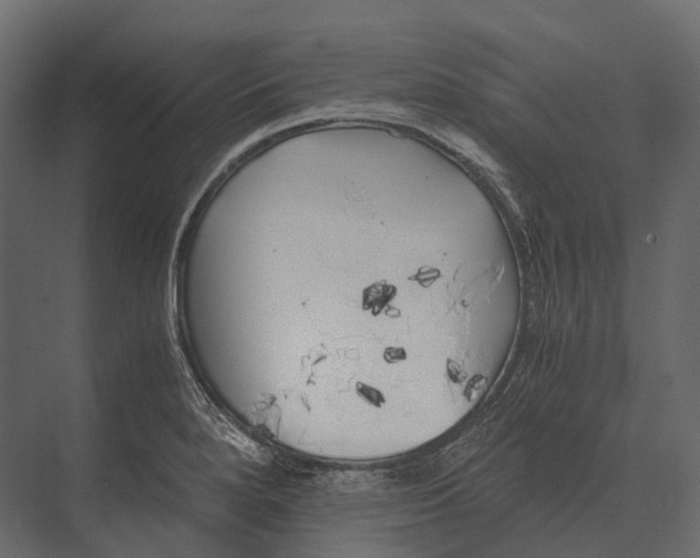 X0000073451280200608181229