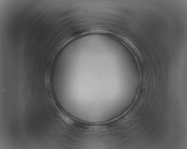 X0000073451281200608181229