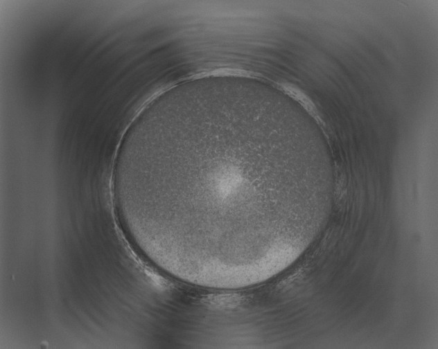 X0000073451282200608181229