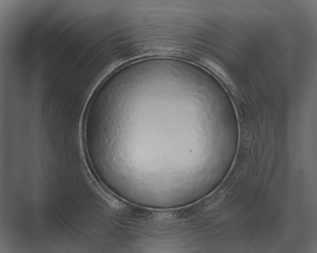 X0000073451283200608181229