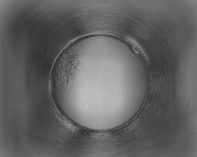 X0000073451284200608181229