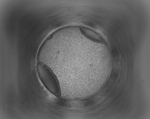 X0000073451287200608181229