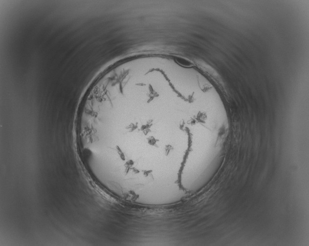 X0000073451288200608181229