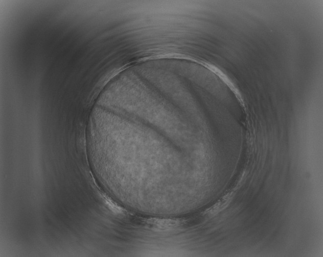 X0000073451289200608181229