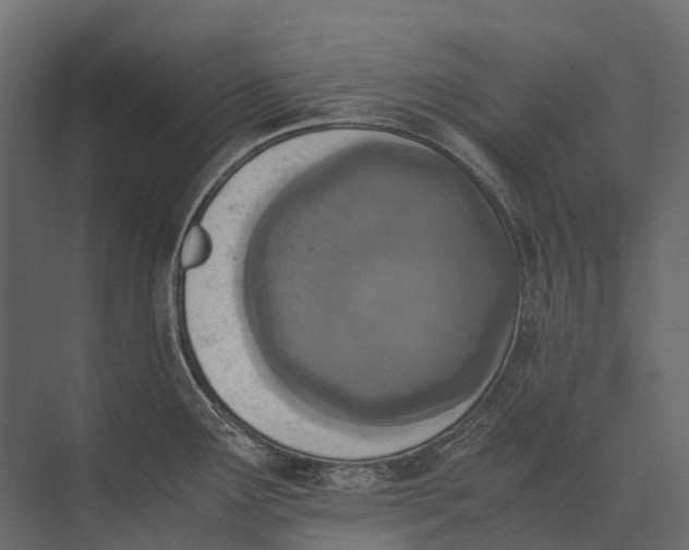 X0000073451291200608181229