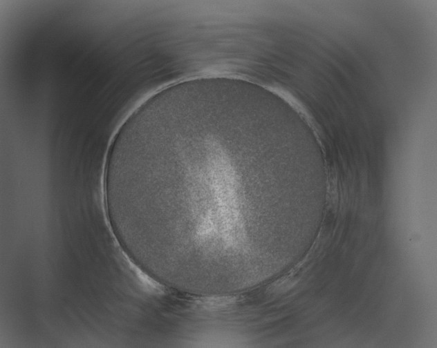 X0000073451294200608181229